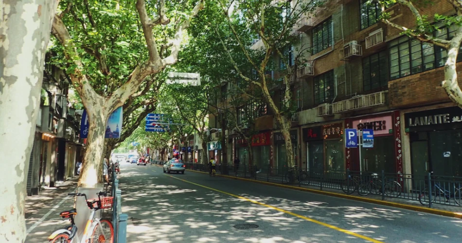 Walking Tours in Shanghai: Where to Go, What to Spot