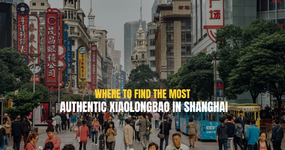 Where to Find The Most Authentic Xiaolongbao in Shanghai