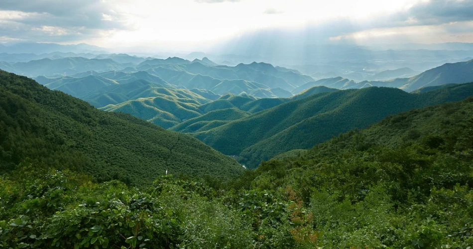 Day Trips From Shanghai: Water Towns You Can't-Miss: