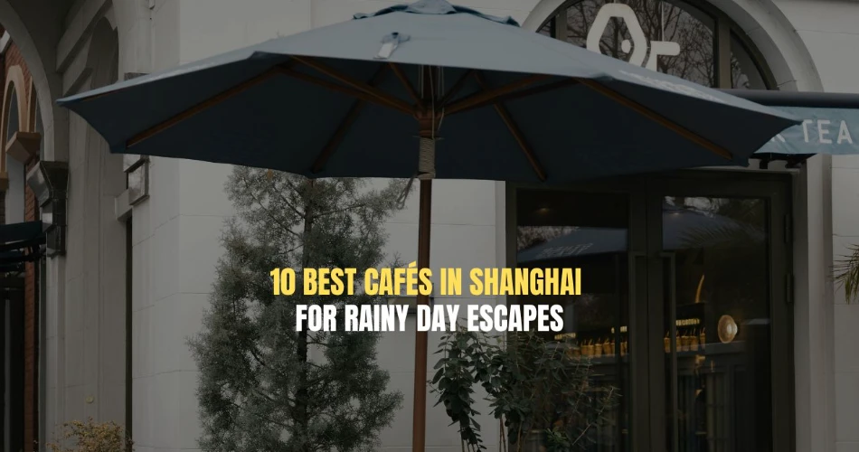 10 Best Cafés in Shanghai for Rainy Day Escapes